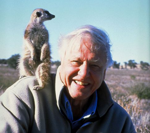 David Attenborough 2